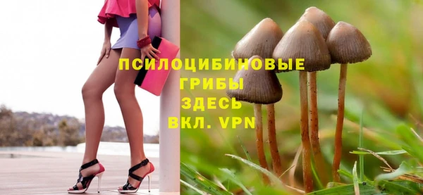 стафф Арсеньев