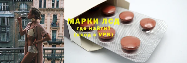 стафф Арсеньев