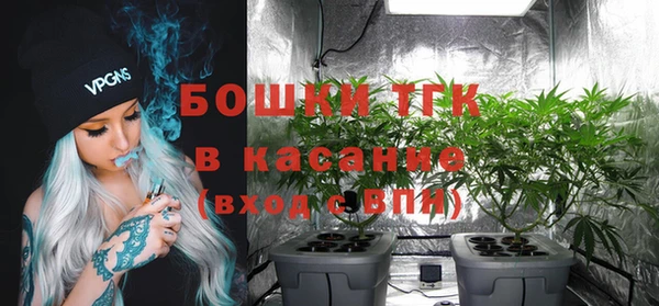 стафф Арсеньев
