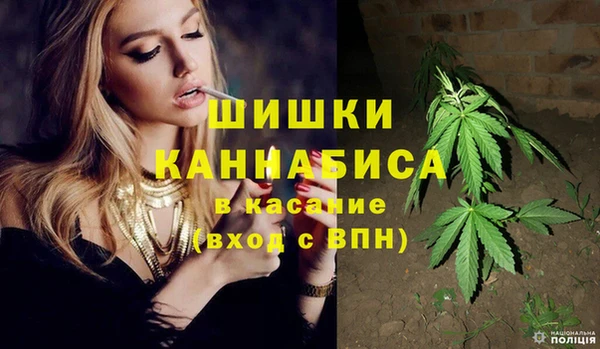 стафф Арсеньев