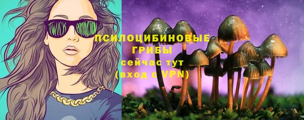 стафф Арсеньев