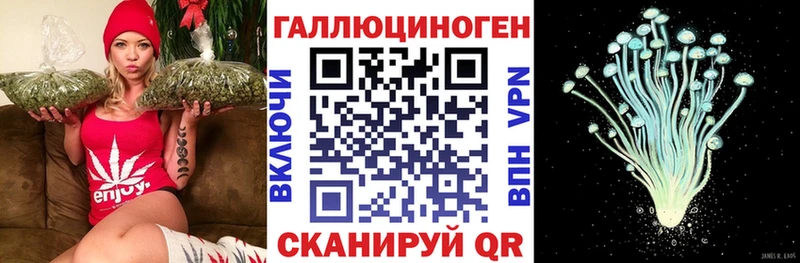 Псилоцибиновые грибы Psilocybe  как найти наркотики  блэк спрут ссылка  Полярный 